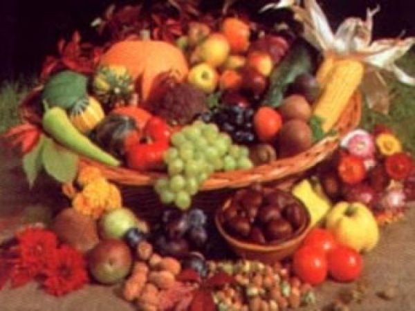 философские сказки для детей